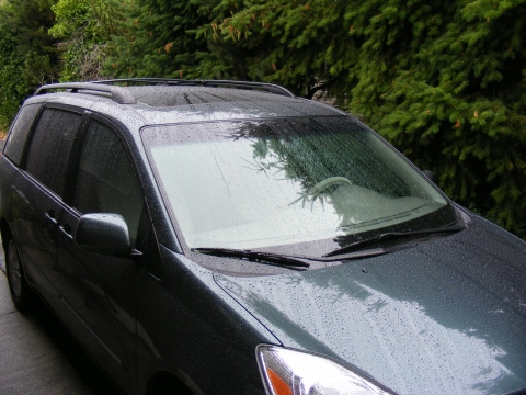 Rain in Bellingham - Thursday