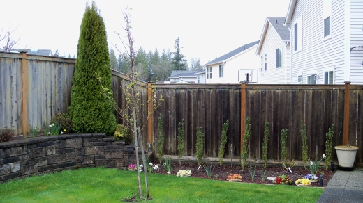 110402516_Z915_house_yard (192K)