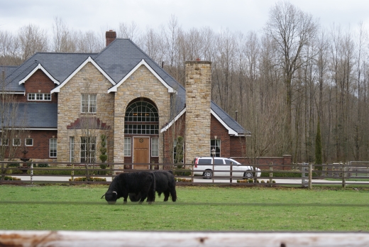 110403032_SN_River&Trees (205K)