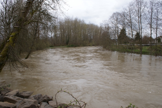 110403042_SN_River&Trees (208K)