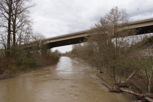 110403049_SN_River&Trees (199K)