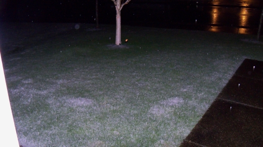 110406503_Z915_snow (161K)