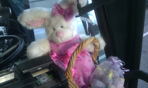 110422502_htc_bunny (130K)